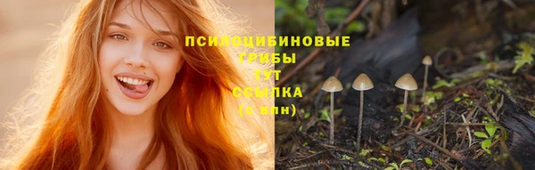 меф Кукмор
