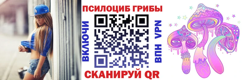 купить наркотики сайты  Петропавловск-Камчатский  Галлюциногенные грибы Magic Shrooms 