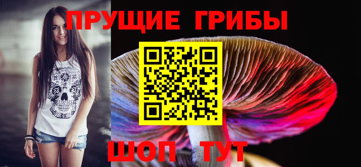 Галлюциногенные грибы прущие грибы Петропавловск-Камчатский