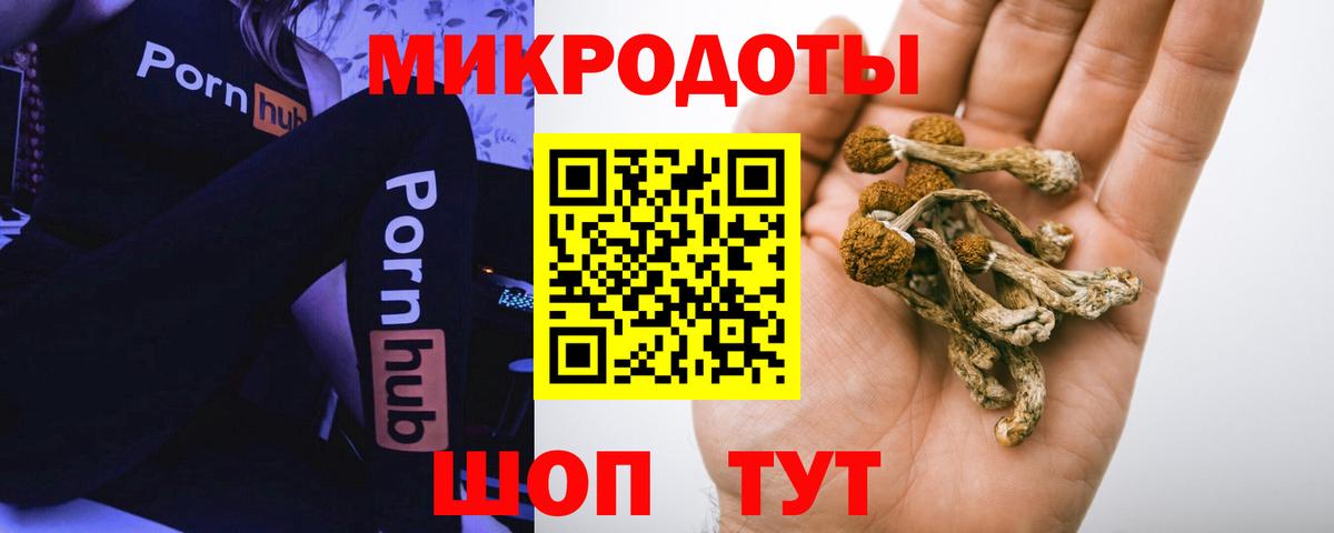 Галлюциногенные грибы Cubensis  Галлюциногенные грибы Psilocybe  Вход с VPN  Петропавловск-Камчатский 